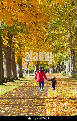 Builth Wells, Powys, au Royaume-Uni. 24 octobre, 2015. Une femme et un petit enfant promenade à travers une avenue de feuilles d'automne dans l'Groe recreation ground par la rivière Wye dans le petit bourg de Builth Wells. Credit : Graham M. Lawrence/Alamy Live News. Banque D'Images