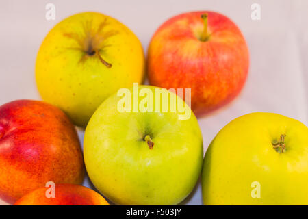 Fruits isolated on white Banque D'Images