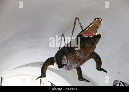 Voyage à la ville de Brno - Brno - Le Dragon symbole de la ville dans l'Ancien hôtel de ville, République Tchèque Banque D'Images