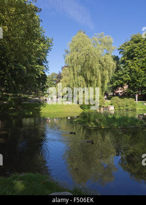 St Hanshaugen , Park dans le centre d'Oslo en Norvège, un étang pour les canards, des arbres pour l'ombre et des pelouses pour le déjeuner et pour les bains de soleil Banque D'Images