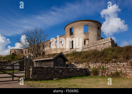 Château de Borgholm, Oland, Sweden Banque D'Images