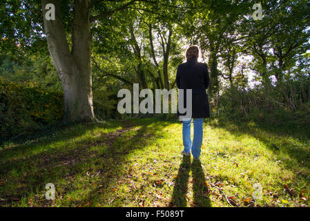 Femme debout dans les arbres qui se profile à l'automne la lumière du soleil. Banque D'Images
