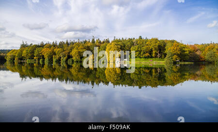 Crockerton, Wiltshire, Royaume-Uni. 25 octobre, 2015. Une magnifique journée de soleil d'automne met en lumière l'évolution de la couleur des arbres le long du bord de l'eau. Lac de Shearwater est caché dans la forêt de Longleat et fait partie du Safari park. Il est populaire auprès des visiteurs qui aiment marcher les voies bordées d'arbres, de pêche et de plaisance sur le lac. Credit : Wayne Farrell/Alamy Live News Banque D'Images