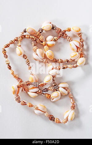 Collier de coquillages Banque D'Images