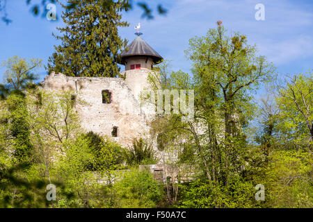 Le Château de Birseck (Burg Birseck), Arlesheim, Canton de Bâle-Campagne, Suisse Banque D'Images