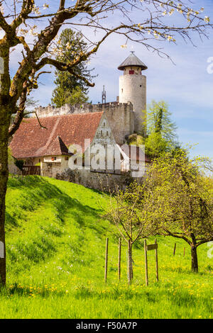 Le Château de Birseck (Burg Birseck), Arlesheim, Canton de Bâle-Campagne, Suisse Banque D'Images