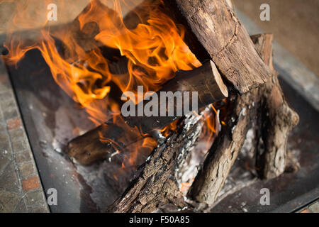 Une pile de grumes brûle intensément dans un feu de camp Banque D'Images