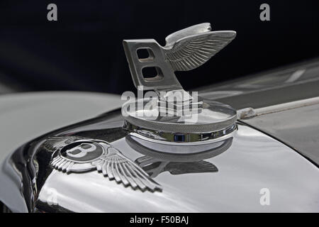 Badgeage du radiateur et flying B sur voiture Bentley classique Banque D'Images