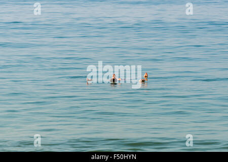 Une jeune femme, wearing bikini, flotte sur l'eau bleue dans la mer ouverte avec ciel bleu à plage de Palolem Banque D'Images
