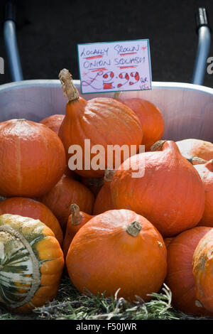 Squash pour la vente d'oignons en automne. Banque D'Images