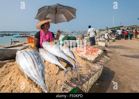 Une femme est la vente du poisson sur la plage de l'religeously devided village des pêcheurs Banque D'Images