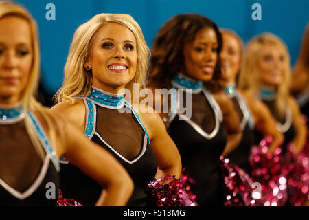 Charlotte, NC, USA. 25 octobre, 2015. Tom Cats regarder dimanche soir le football se rencontreront entre les Philadelphia Eagles et les Panthers au stade Bank of America à Charlotte, NC. Scott Kinser/CSM/Alamy Live News Banque D'Images