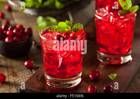 Cocktail de canneberges Boozy fait maison avec de la vodka et la Menthe Banque D'Images