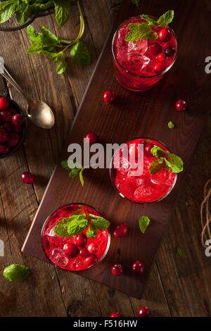 Cocktail de canneberges Boozy fait maison avec de la vodka et la Menthe Banque D'Images