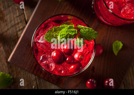 Cocktail de canneberges Boozy fait maison avec de la vodka et la Menthe Banque D'Images