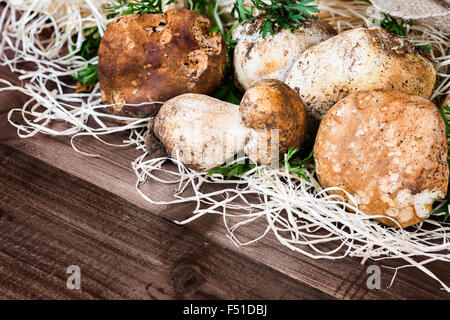 Champignons photo(Boletus edulis,Cèpes - roi des champignons,interstitielle mis sur la paille et sac de jute sur fond de bois. Banque D'Images