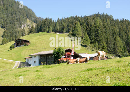 Des alpages farmhouse photographié in Tirol, Autriche Banque D'Images