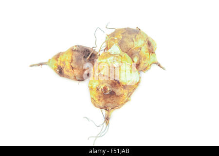 Trois topinambours,isolé sur fond blanc Banque D'Images