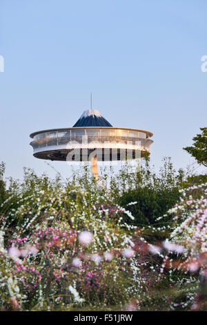 La montée de la plate-forme de l'observatoire 'île Fuji' et des fleurs fleuries au parc Nabana No Sato à Kuwana, Japon.Printemps. Banque D'Images