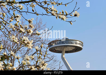 La montée de la plate-forme de l'observatoire 'île Fuji' et des fleurs fleuries au parc Nabana No Sato à Kuwana, Japon.Printemps au Japon. Banque D'Images