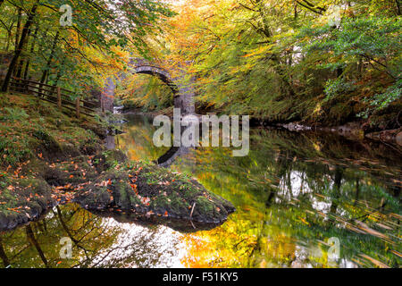 L'automne sur la rivière Dart à Holne Bridge à Dartmoor dans le Devon Banque D'Images