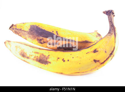 Deux vieux plantains, isolé sur fond blanc Banque D'Images