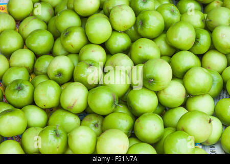 Beaucoup de pommes, green star chrysophyllum cainito dans un marché à Phu Quoc, Vietnam Banque D'Images