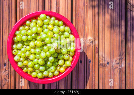 Une boîte rouge vert plein de groseilles, Ribes uva-crispa, sur fond de bois Banque D'Images