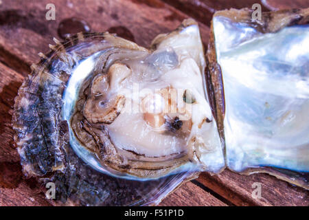 Pearl à l'intérieur d'une huître, à Phu Quoc, Vietnam Banque D'Images