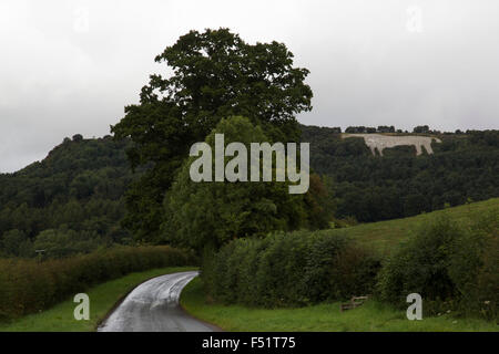 À la vue de Kilburn Kilburn vers le cheval blanc dans les collines de Hambleton, Yorkshire, Angleterre, Royaume-Uni. Cette colline figure est coupé en le versant dans le North York Moors National Park près de Kilburn dans Yorkshire du Nord. Le chiffre est de 318 pieds (97 m) de long par 220 pieds (67 m) de haut et couvre environ 1,6 hectares et dit être le plus grand et le plus septentrional hill figure en Angleterre. Situé sur le flanc sud de Sutton Bank, près de Roulston cicatrice à l'extrémité de la table Hambleton-land, c'est orienté vers le sud-sud-ouest et est visible à distance. Banque D'Images