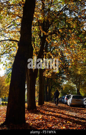 L'automne à Luton, Bedfordshire Banque D'Images