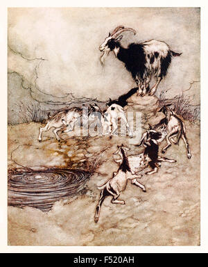 'Les sept enfants et leur capered et dansaient autour le ressort dans leur joie." (le Grand Loup a coulé juste à la base du ressort) de 'Le loup et les sept enfants' dans 'Les contes des frères Grimm's', illustration par Arthur Rackham (1867-1939). Voir la description pour plus d'informations. Banque D'Images