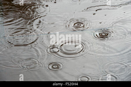 Les gouttes de pluie dans une flaque d'eau sur un chemin de jardin Banque D'Images