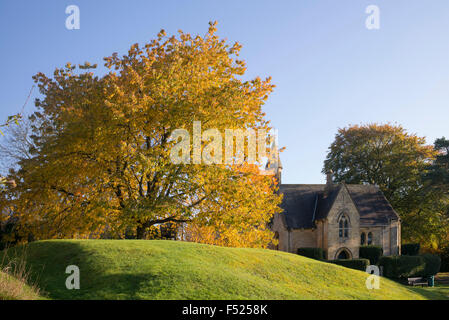 Arbre d'automne Charme et St Michael et Tous les Anges, vaste, Campden Gloucestershire, Arles, France Banque D'Images