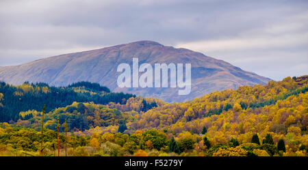 La couleur en automne dans le Queen Elizabeth Forest Park dans les Trossachs, Highlands d'Ecosse © Andrew Wilson Banque D'Images