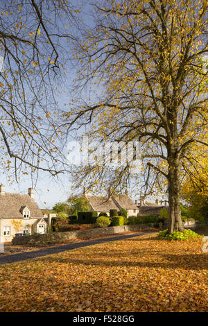 L'automne dans le village de Cotswold Windrush, Gloucestershire, England, UK Banque D'Images