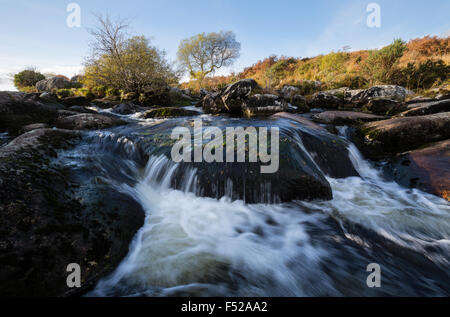 La rivière qui coule à Dartmoor dans l'ouest du Devon Banque D'Images