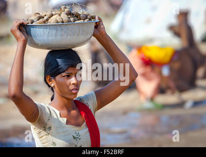 Jeune femme indienne portant un bassin, sur la tête de la bouse de chameau recueillies pour usage comme combustible lors de l'assemblée juste chameau. Banque D'Images