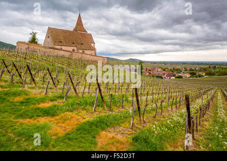 Avis de Hunawihr, avec l'enceinte fortifiée Saint-Jacques-le-Majeur et de vignobles, Haut-Rhin, Alsace, France, Europe Banque D'Images