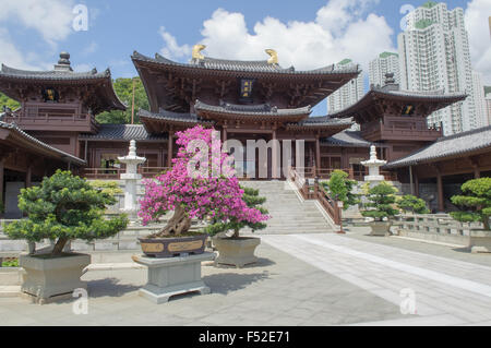 Chi Lin Nunnery du Nan Lian Garden, Kowloon (Diamond Hill), Hong Kong Banque D'Images