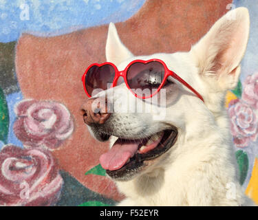 Il porte des lunettes de soleil en forme de cœur en face de peinture murale à la promenade de Venice en Californie du Sud Banque D'Images