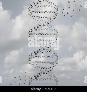 L'ADN dans la nature et de la science médicale en tant que concept recherche un groupe d'oiseaux volant en forme de double hélice comme la biotechnologie et la technologie des soins de santé biologie symbole pour la chimie et la médecine génétique de gènes. Banque D'Images