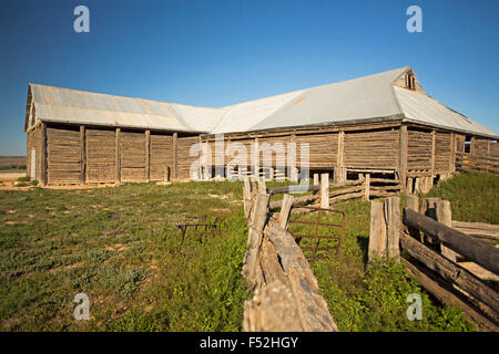 De nombreuses maisons anciennes shearing remise et chantiers, construit à partir des cyress pin, sous ciel bleu au Parc National Mungo outback EN IN Banque D'Images