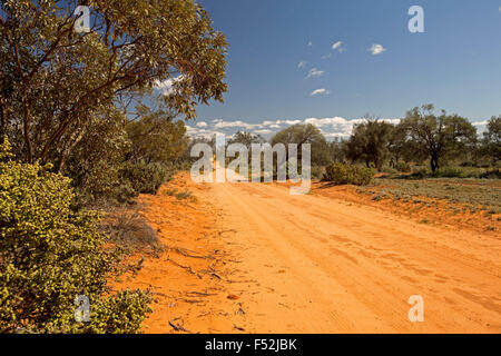 Longue route de sable rouge, bordée par des forêts indigènes, qui s'étend à l'horizon et ciel bleu à Mungo National Park dans l'arrière-pays australien Banque D'Images