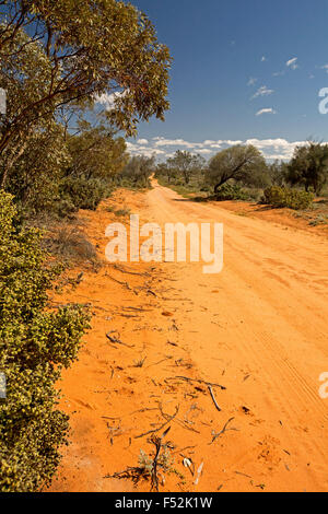 Longue route de sable rouge, bordée par des forêts indigènes, qui s'étend à l'horizon et ciel bleu à Mungo National Park dans l'arrière-pays australien Banque D'Images