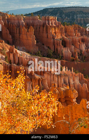 Vue sur la piste des Navajos, Bryce Canyon, Utah, USA Banque D'Images