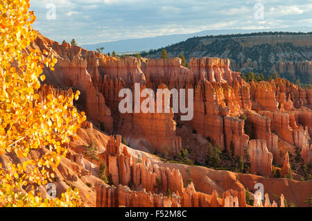 Vue sur la piste des Navajos, Bryce Canyon, Utah, USA Banque D'Images