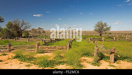 Vue panoramique de l'ancien stock yards fabriqués à partir de pin gris dans l'outback australien, cyprès de l'herbe émeraude paysage après la pluie dans le Parc National Mungo Banque D'Images