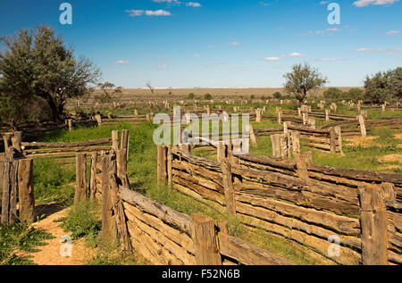 Stock yards fabriqués à partir de pin gris dans l'outback australien, cyprès de paysage après la pluie l'herbe émeraude à l'ancienne gare en Zanci Mungo National Park Banque D'Images