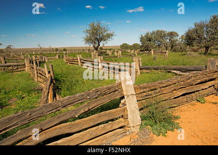 Stock yards fabriqués à partir de pin gris dans l'outback australien, cyprès de paysage après la pluie l'herbe émeraude à l'ancienne gare en Zanci Mungo National Park Banque D'Images